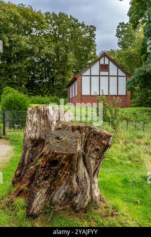 Historic Chirk Castle Grounds & Gardens, Galles, Regno Unito. Foto Stock