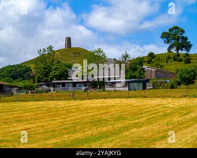 La torre della chiesa di San Michele a Glastonbury Tor in estate nel Somerset in Inghilterra, Regno Unito, con edifici agricoli e campi in primo piano. Foto Stock