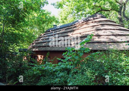 Bella casa nel bosco con tetto in paglia. Foto Stock