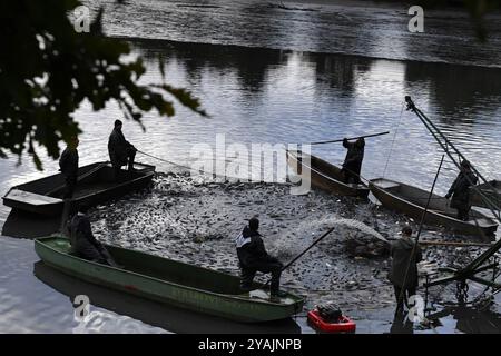 Brezina, Repubblica Ceca. 14 ottobre 2024. Pescatori che prelevano pesci da uno stagno durante la tradizionale carpa nel laghetto Zabakor a Brezina, Repubblica Ceca. Il trasporto delle carpe avviene una volta all'anno in autunno. Nella Repubblica ceca, è un metodo tradizionale di pesca. Le carpe vengono mantenute in vita fino a quando non possono essere vendute 3-4 giorni prima di Natale il 24 dicembre. La carpa è un pasto tradizionale e popolare di Natale. Lo stagno di Zabakor, con un'area di 45 ettari, è il più grande stagno nell'area protetta del Paradiso boemo. Crediti: ZUMA Press, Inc./Alamy Live News Foto Stock