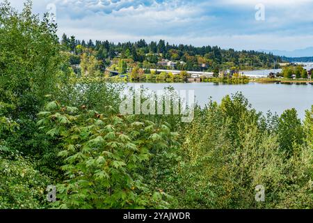 Una vista del Capitol Lake a Olympia, Washington. Foto Stock