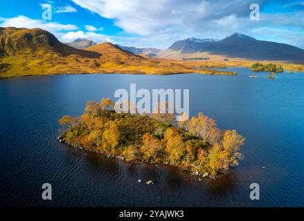 Rannoch Moor, Scozia, Regno Unito. 14 ottobre 2024. Vista aerea dal drone di una piccola isola ricoperta di alberi nel fogliame autunnale su Lochan na h-Achlaise su Rannoch Moor nelle Highlands scozzesi. Iain Masterton/Alamy Live News Foto Stock