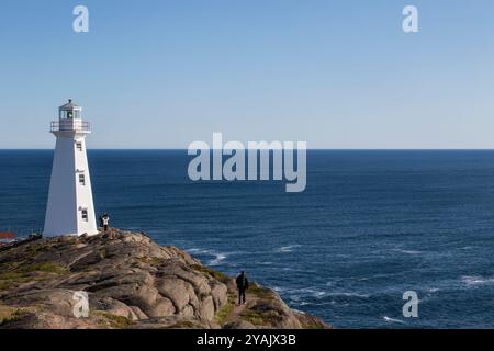 I germogli del Capo Faro e scale, Capo Faro lancia sito storico nazionale, Terranova, Canada Foto Stock