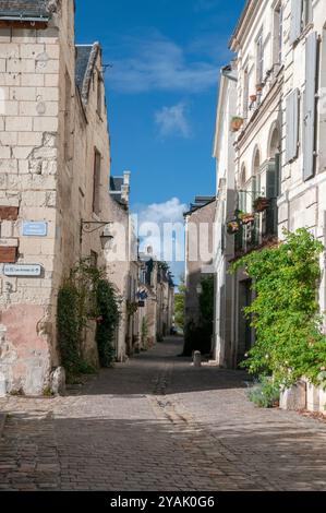 Strada nella città medievale di Chinon, Loire-Anjou-Touraine Parco Naturale Regionale, Valle della Loira elencato come Patrimonio Mondiale dell'UNESCO, Indre et Loire ( Foto Stock