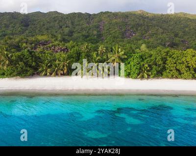 Vista aerea di una spiaggia tropicale al tramonto. Praslin, Seychelles Foto Stock