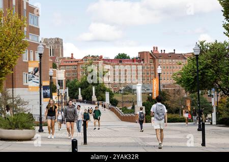 Knoxville, Tennessee, USA - settembre 18, 2024: Gli studenti vanno e vengono a piedi dalla classe del campus universitario. Foto Stock