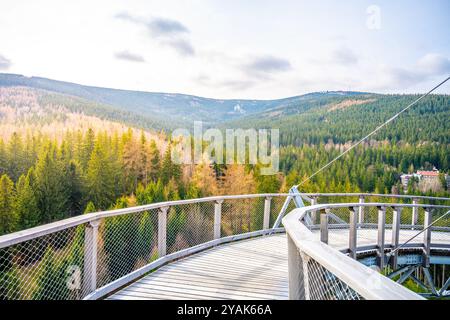 La Sky Walk Tower offre splendide viste panoramiche delle lussureggianti foreste e del paesaggio montano nello Swieradow Zdroj, mostrando la vibrante vegetazione e la tranquillità delle montagne di Jizera. Foto Stock