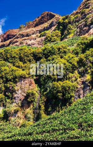 Cascata sulle alte scogliere vicino a Madalena do Mar, Madeira, Portogallo Foto Stock