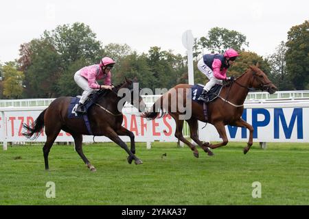 Windsor, Berkshire, Regno Unito. 14 ottobre 2024. BAMA LAMA guidato dal fantino Oliver Searle vince il ritorno della Jump Racing, Windsor 15 dicembre handicap Stakes (Classe 6) alla finale di Flat Season al Royal Windsor Racecourse di Windsor, Berkshire. Proprietario e allevatore Cainsbay Bloodstock, Trainer Road Millman, Cullompton, Sponsor Millman Racing Club, Rod Millman Racing Ltd, Fleetwood Developments Ltd Crediti: Maureen McLean/Alamy Live News Foto Stock