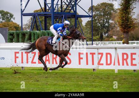 Windsor, Berkshire, Regno Unito. 14 ottobre 2024. WORLD OF DARCY guidato dal fantino Laura Pearson vince il Berkshire Winter Million, Windsor 19 gennaio handicap Stakes (Classe 6) al Flat Season finale al Royal Windsor Racecourse di Windsor, Berkshire. Proprietario Das Racing Limited, allenatore John Ryan, Newmarket, allevatore Mr Thomas Foley. Crediti: Maureen McLean/Alamy Live News Foto Stock