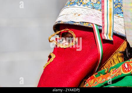 Joaldunak, maschera tradizionale nel carnevale di Ortuella. Euskadi o Euskal Herria Foto Stock