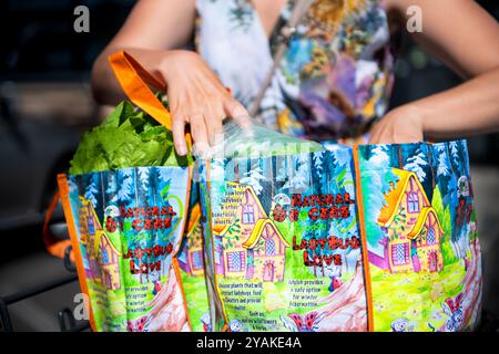 Durango, Stati Uniti - 22 agosto 2019: Borse per negozi di alimentari naturali, donna che fa shopping confezionando prodotti vegetali in borse riutilizzabili e borse e borse in Colorado Foto Stock