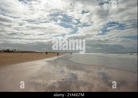 Spiaggia di sabbia la Barrosa a Novo Sancti Petri in Andalusia Foto Stock