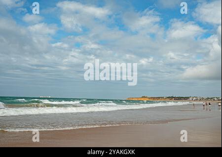 Spiaggia di sabbia la Barrosa a Novo Sancti Petri in Andalusia Foto Stock