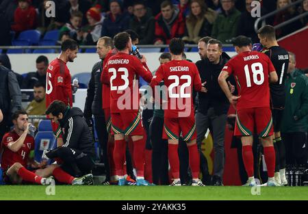 Cardiff, Regno Unito. 14 ottobre 2024. Craig Bellamy, allenatore del Galles, parla con i suoi giocatori durante la partita di UEFA Nations League al Cardiff City Stadium di Cardiff. Il credito immagine dovrebbe essere: Darren Staples/Sportimage Credit: Sportimage Ltd/Alamy Live News Foto Stock