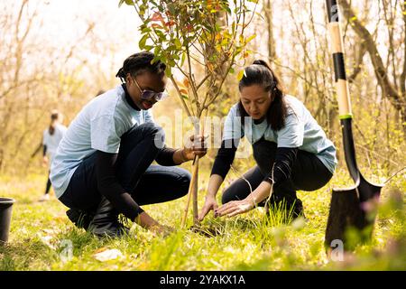 Gruppo di volontari che piantano piccoli alberi per la conservazione della natura, contribuendo alla sostenibilità e alla conservazione dell'ecosistema. Attivisti che si uniscono per la cura dell'ambiente, scavano buchi per i semi. Foto Stock