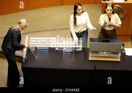 Città del Messico, Messico. 12 ottobre 2024. La senatrice Julieta Andrea Ramirez durante l'estrazione a sorte per la magistratura durante la sessione al Senato messicano. (Foto di Luis Barron/Eyepix Group/Sipa USA) credito: SIPA USA/Alamy Live News Foto Stock