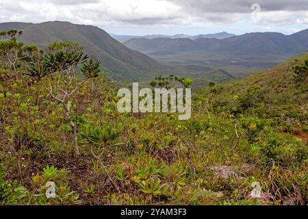 Il paesaggio montano del Blue River Provincial Park Foto Stock