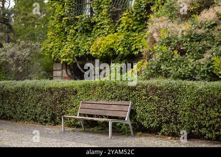 Panca vuota in legno in un tranquillo parco circondato da vegetazione lussureggiante e da un edificio coperto di edera in una giornata di sole Foto Stock