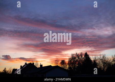 Splendido tramonto sui tetti suburbani con nuvole rosa e viola e alberi sagomati. Concetto di serate tranquille e cielo colorato Foto Stock