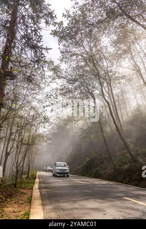 20 GENNAIO 2022: YUANYUANG, YUNNAN, CINA: Il sole che passa attraverso le palme durante la nebbia mattinata a Duoyishu, Cina, Yunnan. Copia spazio per il testo Foto Stock