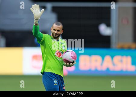 Brasilia, Brasile, 14 ottobre 2024. Il portiere, Weverton del Brasile, ondata ai tifosi durante la sessione di allenamento, allo stadio Mane Garrincha, a Brasilia, Brasile, il 14 ottobre 2024. La squadra si sta preparando ad affrontare il Perù nel decimo turno delle qualificazioni sudamericane per la Coppa del mondo FIFA 2026. Foto: Heuler Andrey/DiaEsportivo/Alamy Live News Foto Stock