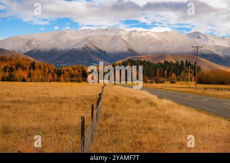 Fogliame autunnale sugli alberi a Glen Lyon Road, Twizel, Mackenzie con lo sfondo di altre catene montuose innevate Foto Stock