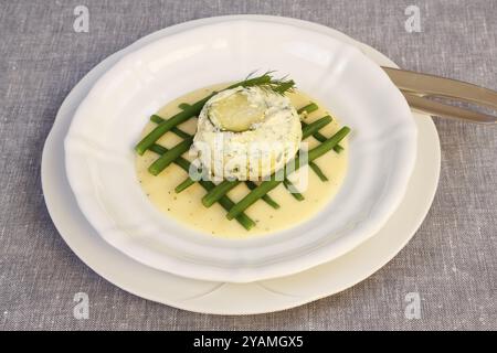 Cucina sveva, luccio-perch al forno su fagioli principessa con salsa al limone, piatto di pesce, filetto di luccio-perco, zucchine, fagiolini, aneto, antipasto, da t Foto Stock