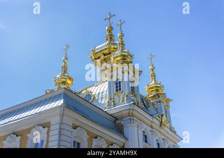 Croci e cupole della Chiesa a Peterhof, San Pietroburgo, Russia, Europa Foto Stock