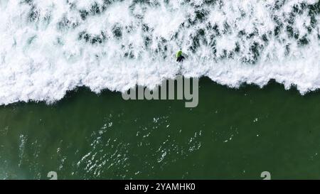 I nuotatori scivolano attraverso le onde cristalline al largo della costa californiana, sotto un sole dorato in una perfetta giornata estiva, dipingendo un ambiente acquatico sereno Foto Stock