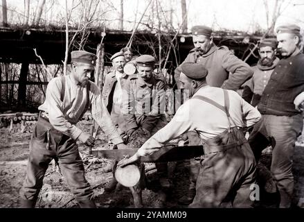 Soldati tedeschi che costruiscono il rifugio. Prima guerra mondiale, Vosgi, Francia. Soldati tedeschi durante la costruzione di alloggi Foto Stock