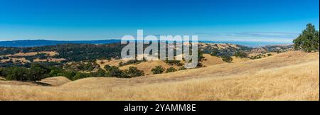 Una vista panoramica delle dolci colline e vallate del Joseph D. Grant County Park, che fonde erba dorata, alberi verdi e montagne lontane sotto un Foto Stock
