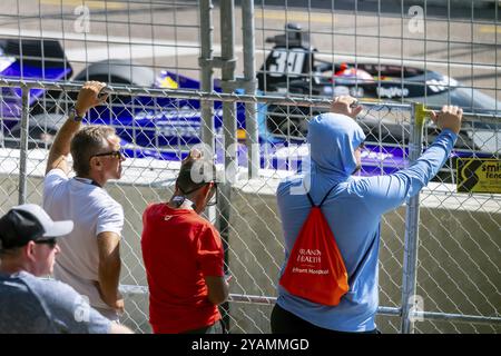 I tifosi guardano tutte le gare durante il Firestone Grand Prix di San Pietroburgo al St. Petersburg Temporary Course di St. Petersburg, Florida, USA, No Foto Stock