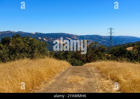 Un sentiero sterrato conduce attraverso l'erba dorata verso colline lontane nel Joseph D. Grant County Park, con una torre di linea elettrica visibile sotto un cielo azzurro. Foto Stock