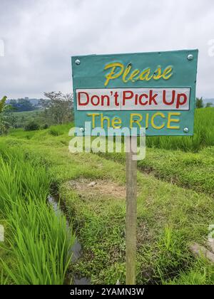 Vista ravvicinata sul cartello sulle risaie a terrazza Jatiluwih, Bali, Indonesia, Asia Foto Stock