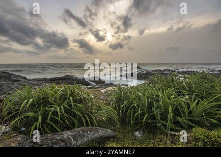 Spiaggia, con rocce laviche e vegetazione, vista sul mare la sera al tramonto. Paesaggio con nuvole a Induruwa, Bentota Beach, Sri Lanka, India, A. Foto Stock