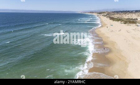 I nuotatori scivolano attraverso le onde cristalline al largo della costa californiana, sotto un sole dorato in una perfetta giornata estiva, dipingendo un ambiente acquatico sereno Foto Stock