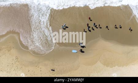 I nuotatori scivolano attraverso le onde cristalline al largo della costa californiana, sotto un sole dorato in una perfetta giornata estiva, dipingendo un ambiente acquatico sereno Foto Stock