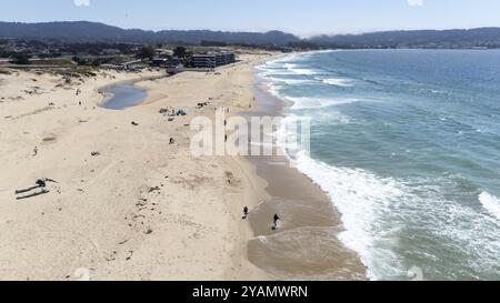 I nuotatori scivolano attraverso le onde cristalline al largo della costa californiana, sotto un sole dorato in una perfetta giornata estiva, dipingendo un ambiente acquatico sereno Foto Stock