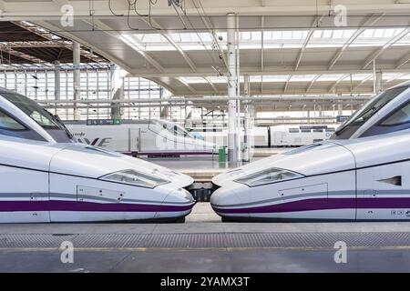 Il treno ad alta velocità arriva a Madrid Atocha, hub per i treni pendolari e regionali, nonché servizi AVE in tutta la Spagna Foto Stock