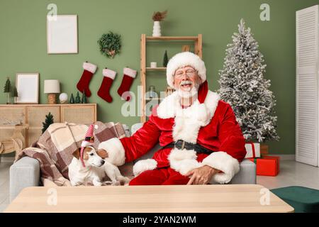 Babbo Natale con il simpatico cane Jack Russell Terrier con fascia con cappello Elf che celebra il Natale sul divano di casa Foto Stock