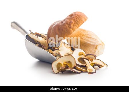 Funghi porcini secchi. Bolo a fette in sessola isolato su sfondo bianco. Foto Stock