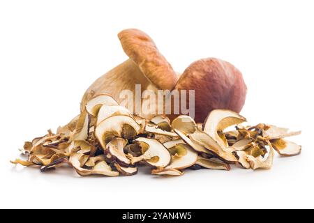 Funghi porcini secchi. Bolo a fette isolato su sfondo bianco. Foto Stock