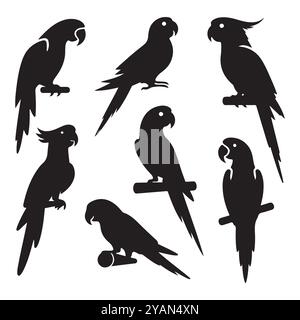 Set di vettore silhouette pappagallo su sfondo bianco Illustrazione Vettoriale