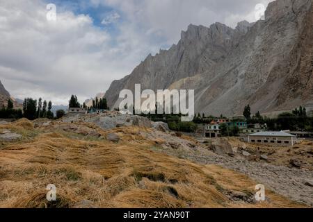 Raccolta del grano nella valle di Hushe, Kanday, Baltistan, Pakistan Foto Stock