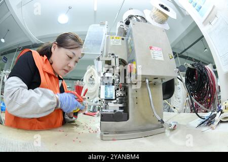 HAIAN, CINA - 15 OTTOBRE 2024 - i lavoratori producono parti di veicoli commerciali di nuova energia presso un'officina di Haian, provincia di Jiangsu, Cina, 15 ottobre 2024. Foto Stock