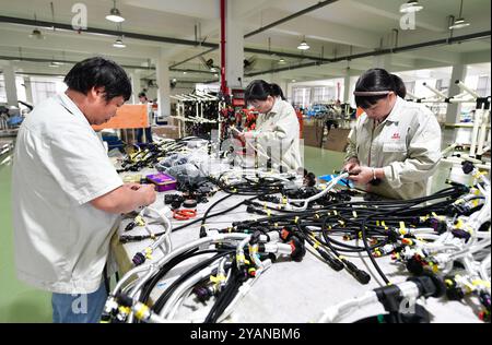 HAIAN, CINA - 15 OTTOBRE 2024 - i lavoratori producono parti di veicoli commerciali di nuova energia presso un'officina di Haian, provincia di Jiangsu, Cina, 15 ottobre 2024. Foto Stock