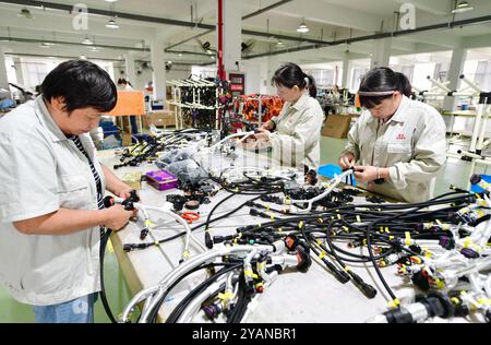 HAIAN, CINA - 15 OTTOBRE 2024 - i lavoratori producono parti di veicoli commerciali di nuova energia presso un'officina di Haian, provincia di Jiangsu, Cina, 15 ottobre 2024. Foto Stock