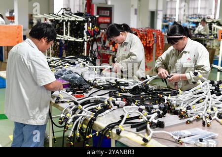 HAIAN, CINA - 15 OTTOBRE 2024 - i lavoratori producono parti di veicoli commerciali di nuova energia presso un'officina di Haian, provincia di Jiangsu, Cina, 15 ottobre 2024. Foto Stock