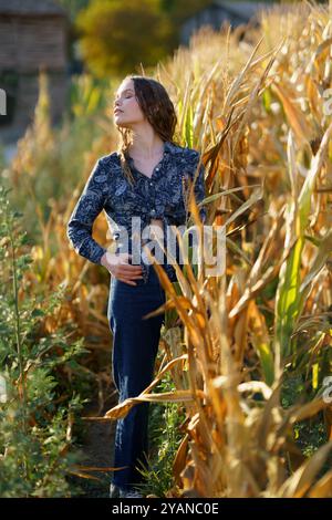 Una donna vestita con eleganti jeans è circondata da alte piante di mais in uno splendido paesaggio autunnale Foto Stock